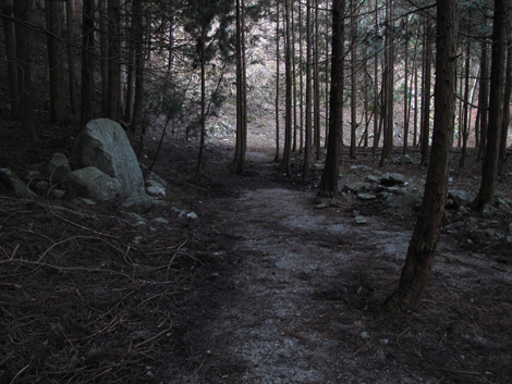 20161206hike (501)